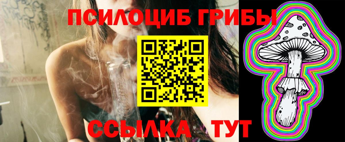 Псилоцибиновые грибы Cubensis  Вход с VPN  Ирбит 